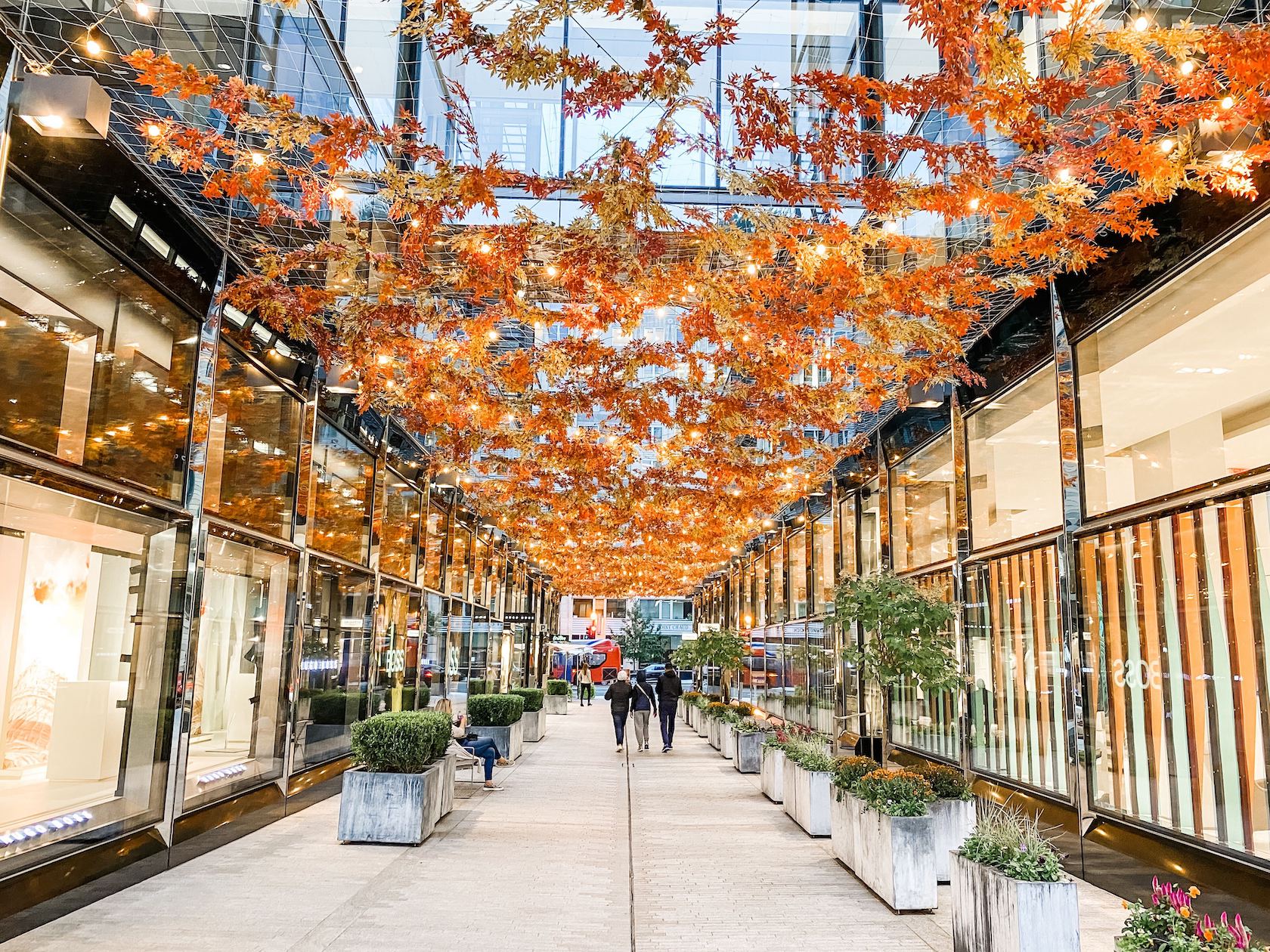 How to Make the Most of Fall in Washington, DC Washington DC